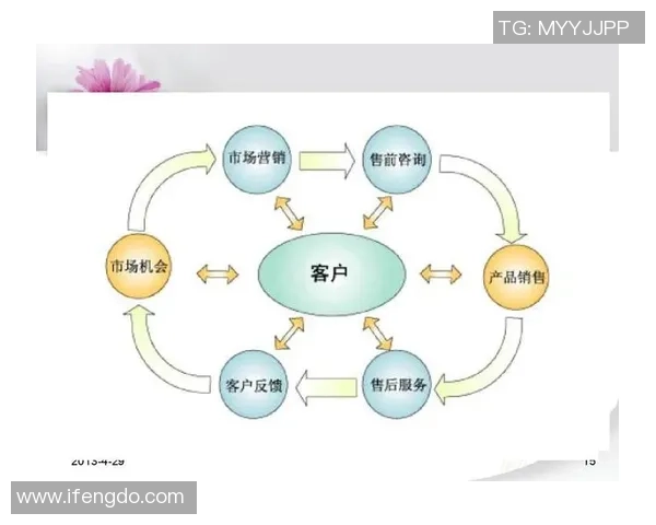 深入分析BLG的运营策略与市场表现的成功之道