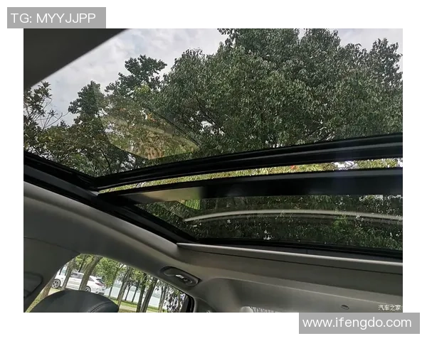 深圳攀岩队与武汉攀岩队赛后复盘探讨意识与团队协作的深度分析